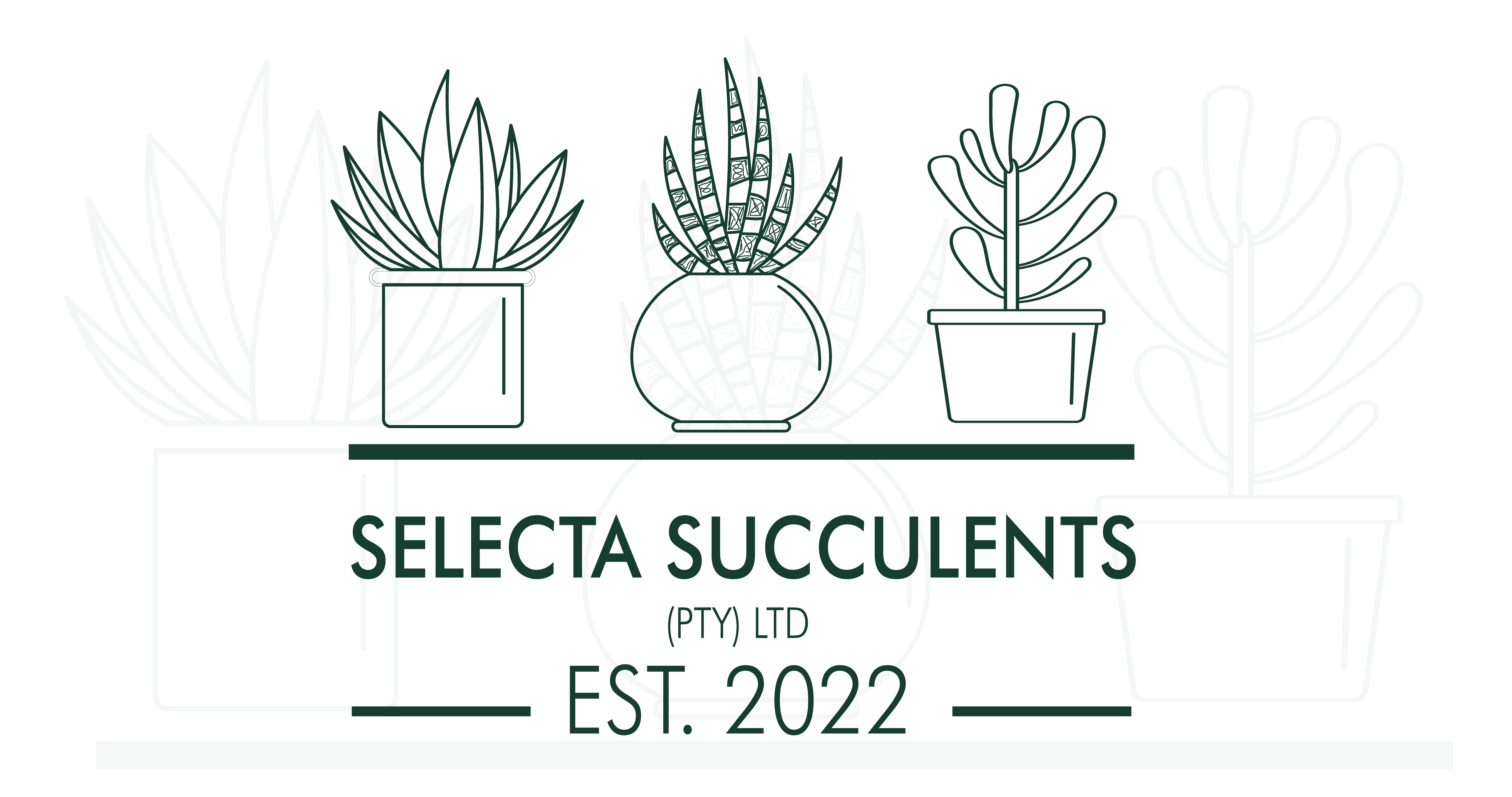 Selecta Succulents